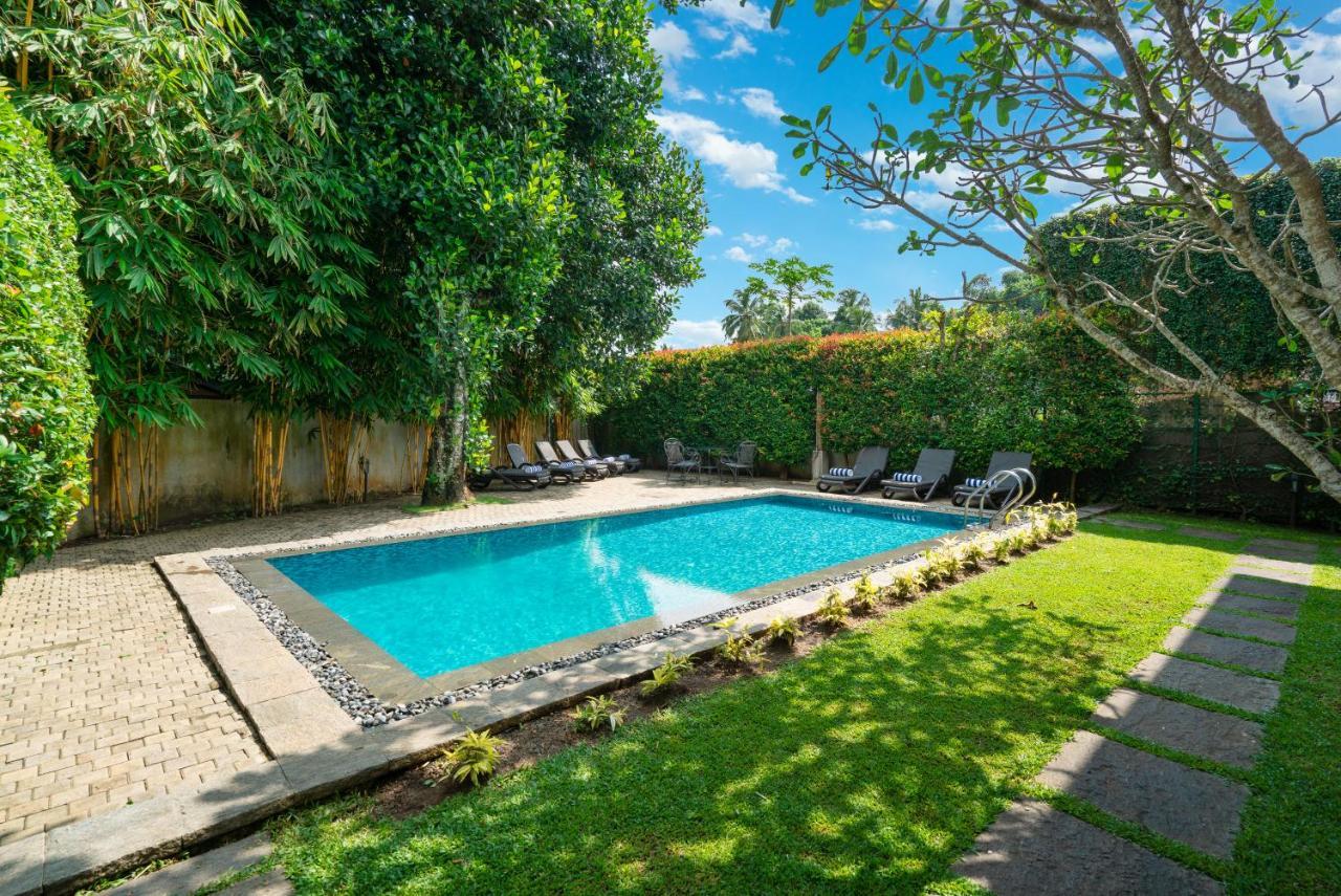 Clove Villa Kandy Exterior photo
